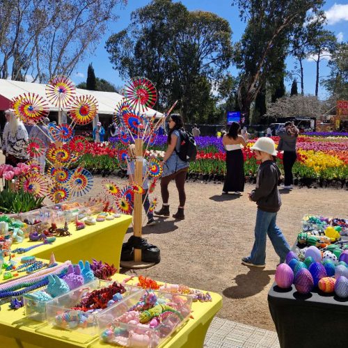 20251003123647 - Michelle atkins