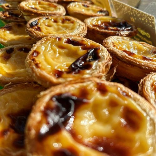 485364773_1275114387312483_4906550593398422274_n