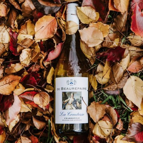 486250881_1208399061293385_8667842082034016343_n