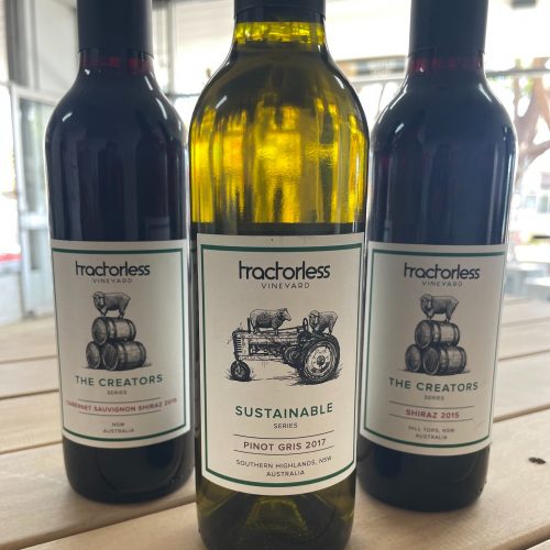 487604054_1122479413227378_1372738503733891035_n