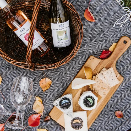 489849039_1223486759784615_8645628732007499189_n