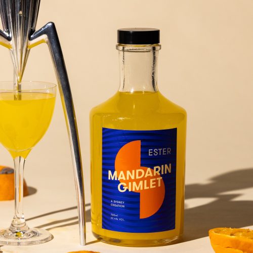 520746136_18125070316459918_867281365265623398_n