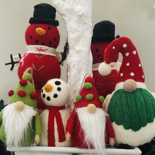 FullSizeRender - Shreejana Maharjan(1)