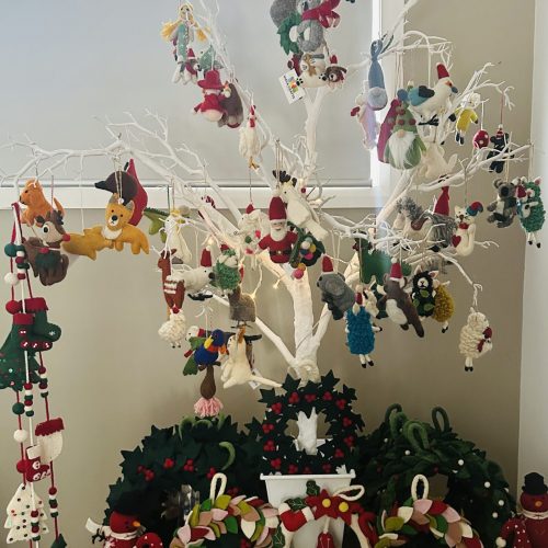 FullSizeRender - Shreejana Maharjan(2)