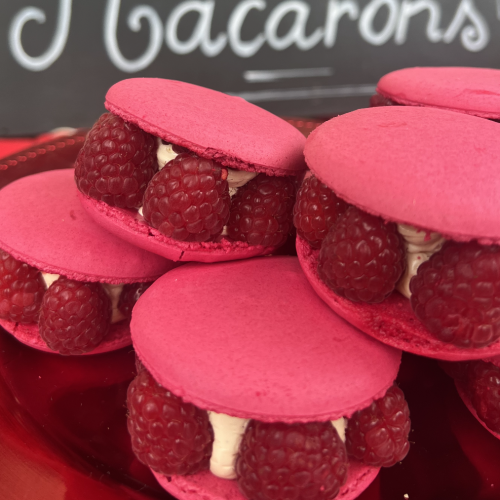 IMG_3593 - Rudy Cohen