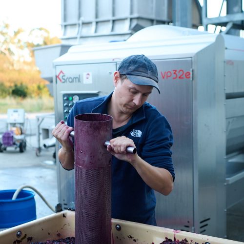 LOWRES_250310_JESSOP_WINES_NIKON_1452