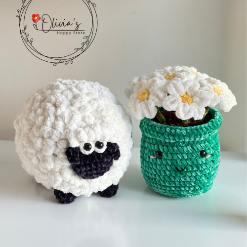 Olivia’s Happy Store - Steve Linh21(1)